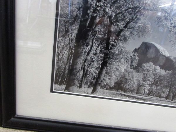 BEAUTIFULLY MATTED & FRAMED PHOTO OF HALF DOME