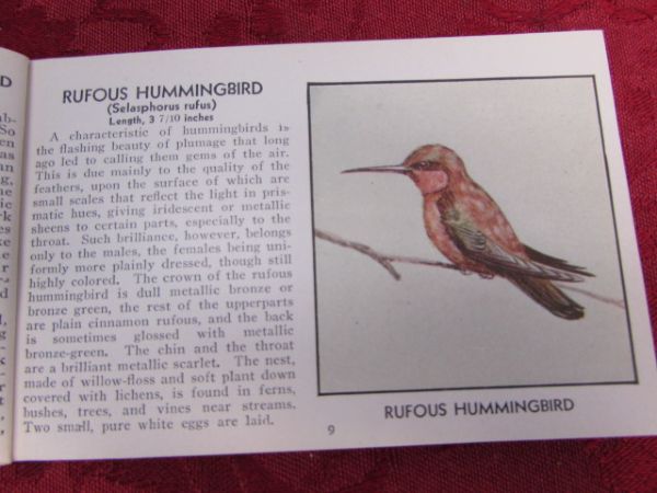 SWEET SONG BIRDS - THREE 1931 BIRDS OF AMERICA GUIDE BOOKS & STATIONARY