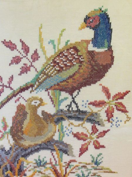 BIRDS OF A FEATHER!  LOVELY COMPLETED CROSS STITCH OF PHEASANTS, NICELY FRAMED