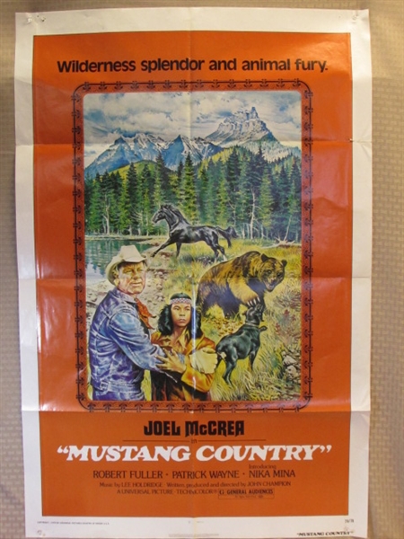HORSES! VINTAGE BLACK STALLION & MUSTANG COUNTRY MOVIE POSTERS, SHOWER CURTAIN, BOOKS & BEADED HORSE SHOE