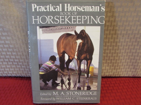 HORSES! VINTAGE BLACK STALLION & MUSTANG COUNTRY MOVIE POSTERS, SHOWER CURTAIN, BOOKS & BEADED HORSE SHOE
