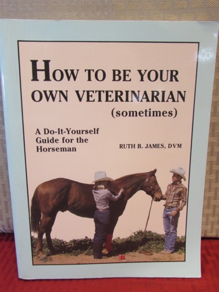HORSES! VINTAGE BLACK STALLION & MUSTANG COUNTRY MOVIE POSTERS, SHOWER CURTAIN, BOOKS & BEADED HORSE SHOE