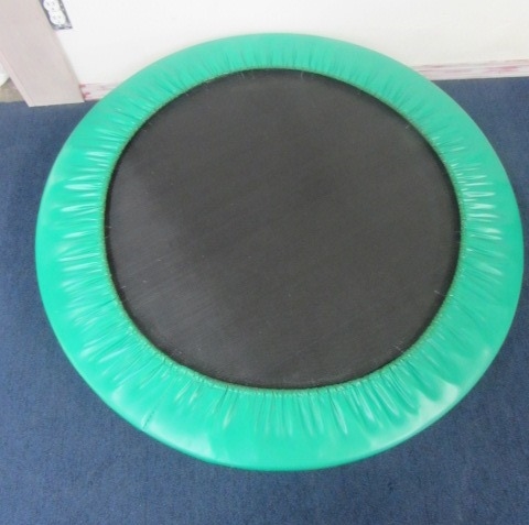 SMALL TRAMPOLINE - COULD MAKE A GREAT DOG BED