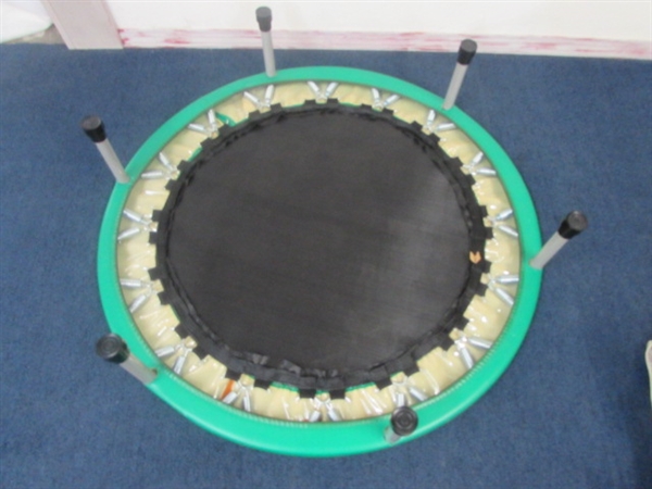 SMALL TRAMPOLINE - COULD MAKE A GREAT DOG BED