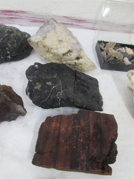 NICE COLLECTION OF MINERAL SPECIMENS FOR LAPIDARY OR DISPLAY