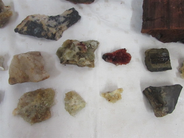 NICE COLLECTION OF MINERAL SPECIMENS FOR LAPIDARY OR DISPLAY