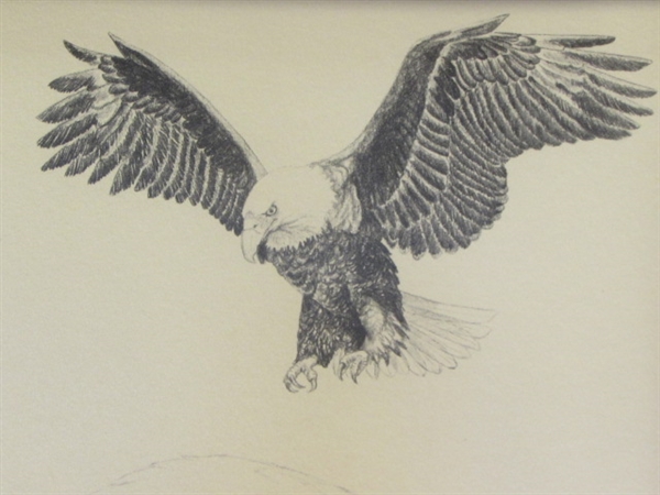 LIMITED EDITION NUMBERED PRINT BY CALIFORNIA ARTIST SUSAN WILHITE-MAJESTIC EAGLE