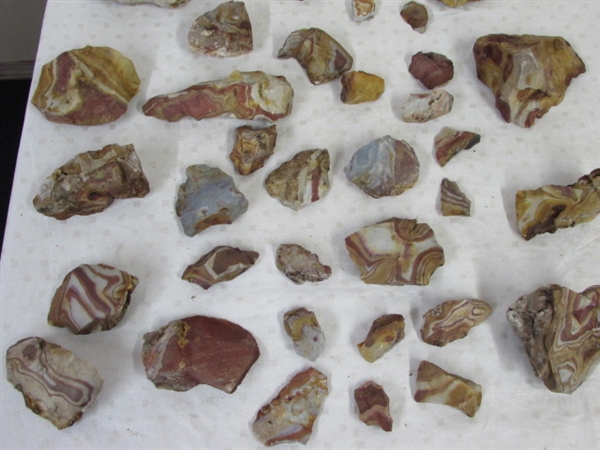 COLORFUL SELECTION OF AGATIZED RHYOLITE