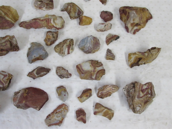 COLORFUL SELECTION OF AGATIZED RHYOLITE