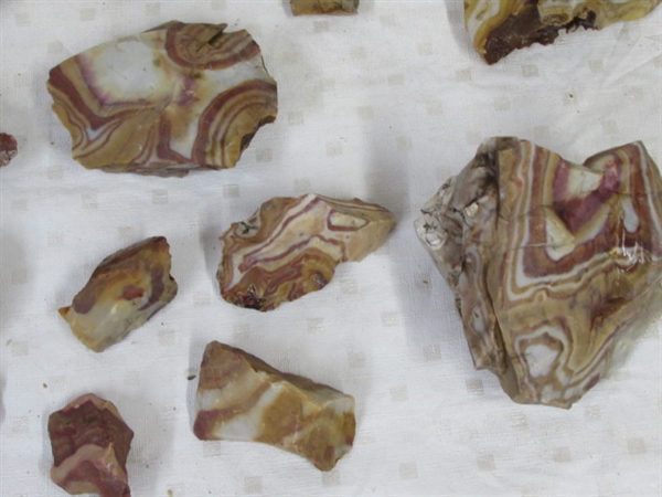 COLORFUL SELECTION OF AGATIZED RHYOLITE