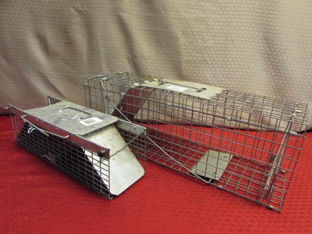 Have A Heart Live Animal Trap for Sale in Lower Paxton Township