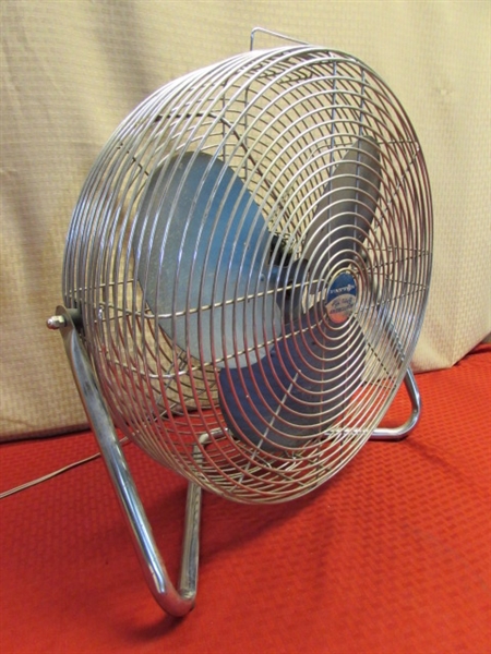 WHATEVER BLOWS YOUR HAIR BACK!  PATTON HIGH VELOCITY AIR CIRCULATOR FAN