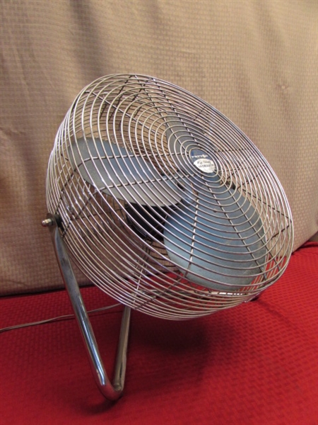 WHATEVER BLOWS YOUR HAIR BACK!  PATTON HIGH VELOCITY AIR CIRCULATOR FAN