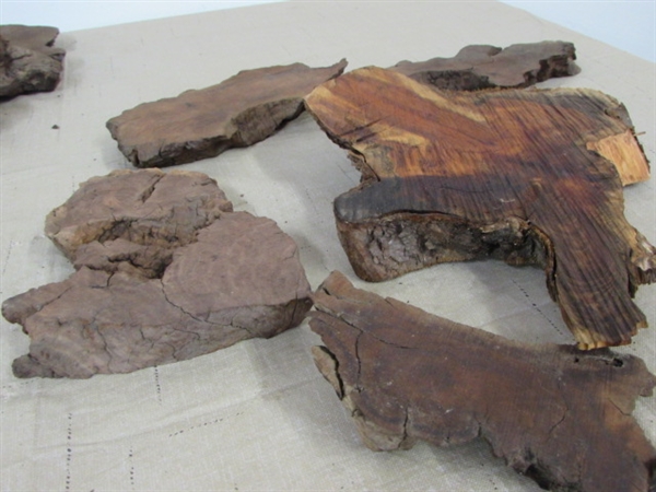 WOOD WORKERS DREAM.  SLAB CUTS OF MANZANITA AND REDWOOD BURL 