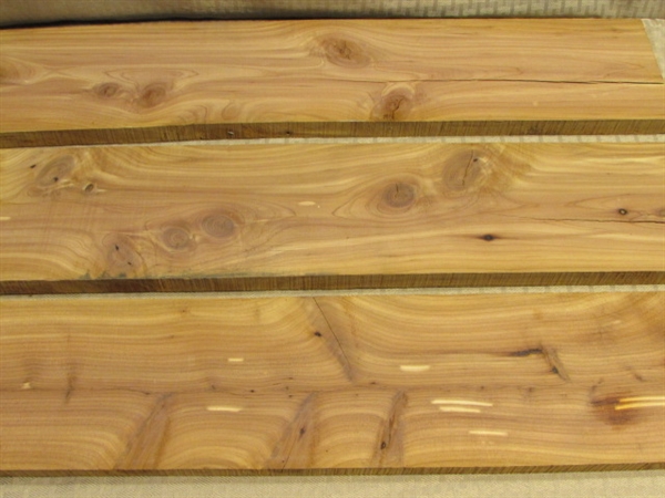 BUILD SOMETHING SPECIAL-EIGHT PIECES OF INCENSE CEDAR