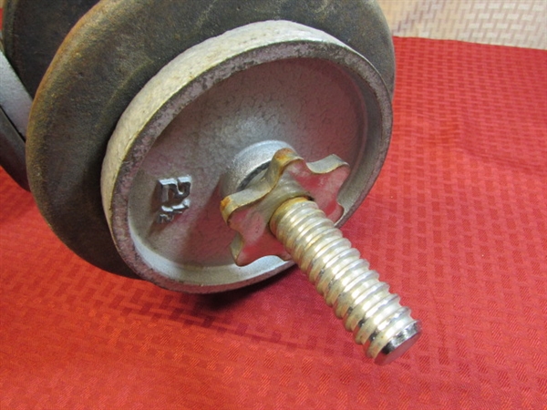 CAST METAL DUMBELL WEIGHTS