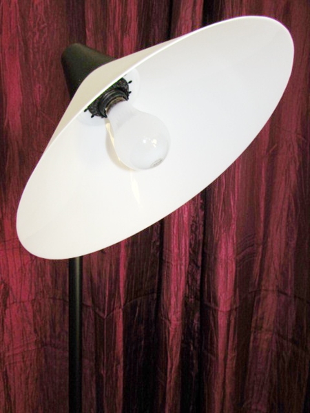 BRIGHTEN UP ANY SPACE WITH THIS NICE FLOOR LAMP