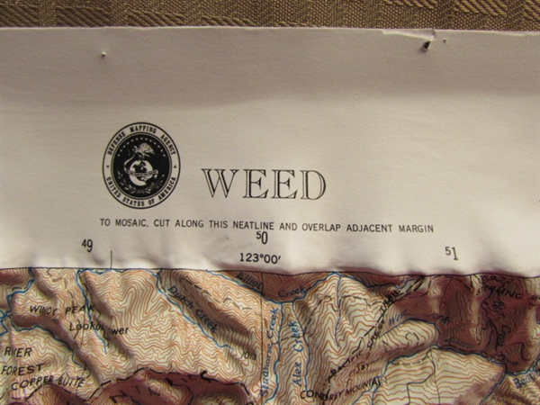 OUR OWN BACKYARD!  HUBBARD SCIENTIFIC INC. TOPOGRAPHICAL MAP OF WEED, CA