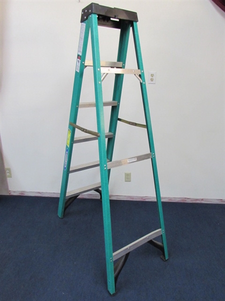 REACH NEW HEIGHTS- 6' WERNER LADDER