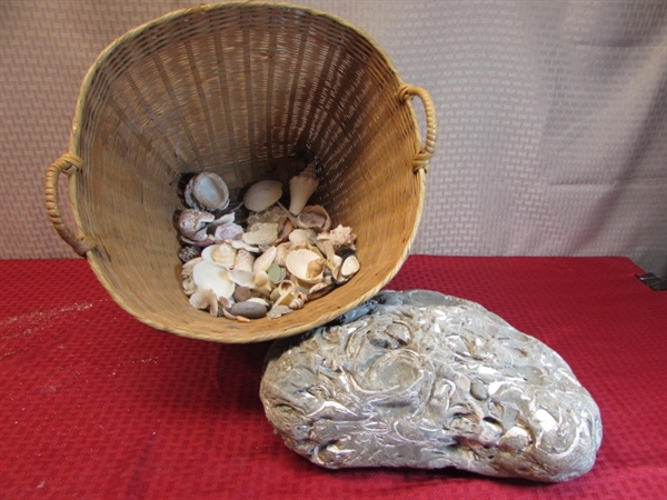 LARGE LANDSCAPE SIZE CONGLOMERATE ROCK WITH FOSSILS, NICE BASKET & SEASHELLS