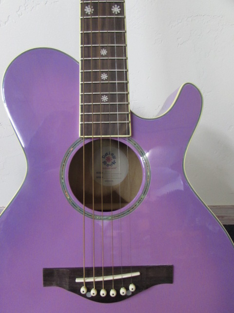 Daisy Rock Acoustic Guitar Case - Lot Detail Sweet Purple Daisy Rock Acoustic Guitar Case Fender Guitar Stand