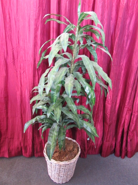 HIGH QUALITY ARTIFICIAL TREE-ATTRACTIVE POTTED SILK VARIEGATED DRACAENA - APPROXIMATELY 5.5 FT TALL!