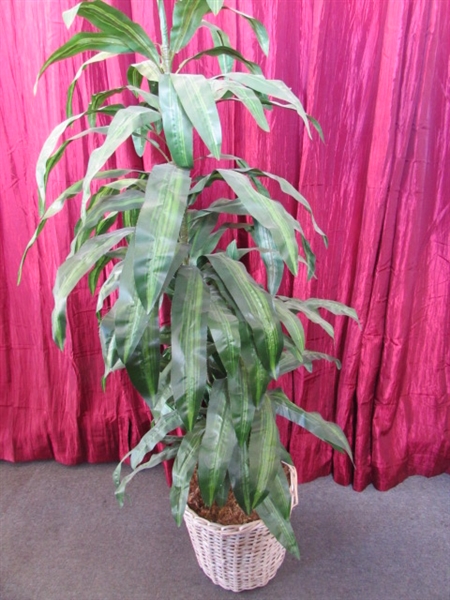 HIGH QUALITY ARTIFICIAL TREE-ATTRACTIVE POTTED SILK VARIEGATED DRACAENA - APPROXIMATELY 5.5 FT TALL!