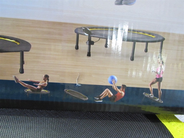 GOLDS GYM CIRCUIT TRAINER TRAMPOLINE & EXCERSIZE BALL