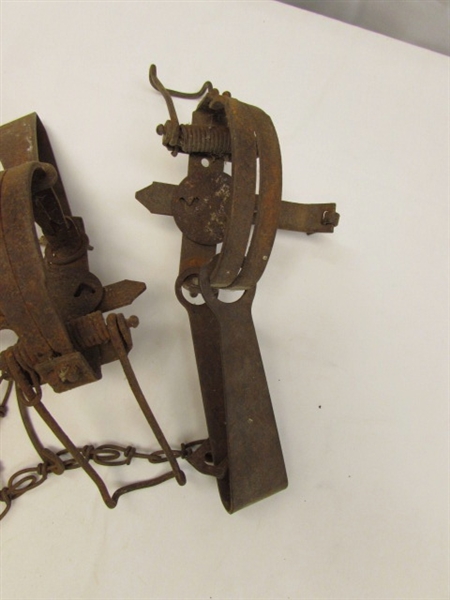 6 VINTAGE VICTOR TRAPS