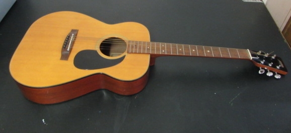 ACOUSTIC GUITAR