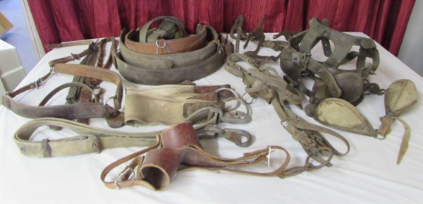 VINTAGE HORSE TACK