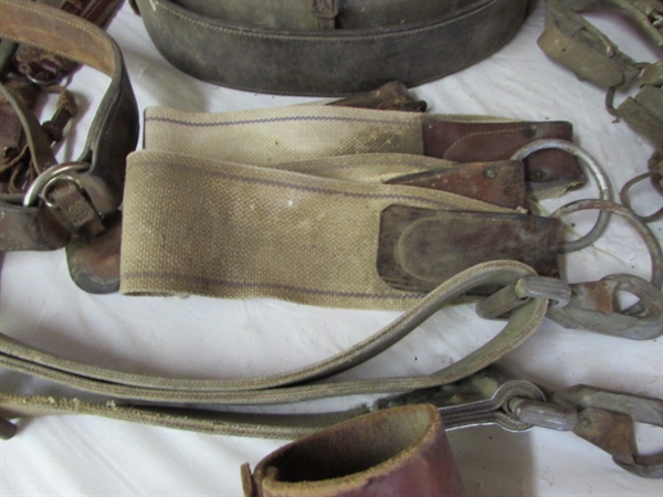 VINTAGE HORSE TACK