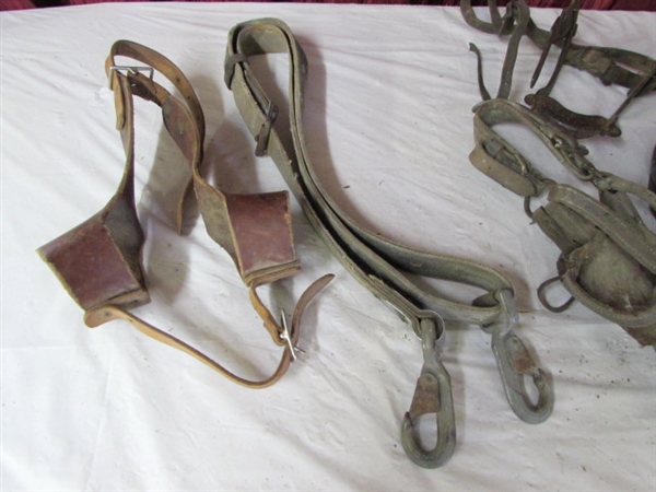 VINTAGE HORSE TACK