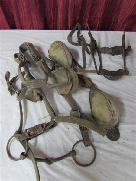 VINTAGE HORSE TACK