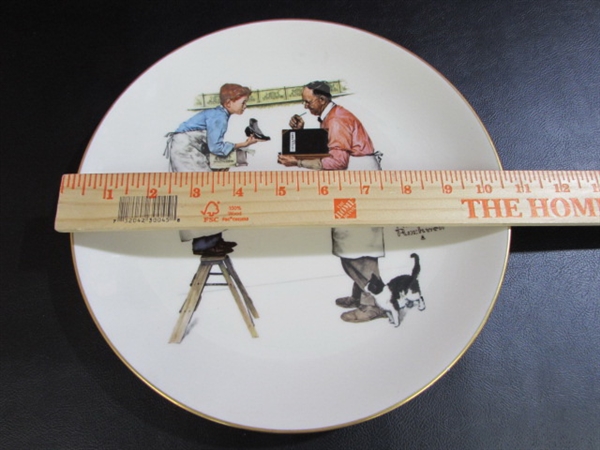 NORMAN ROCKWELL PLATE - WINTER YEAR END COUNT