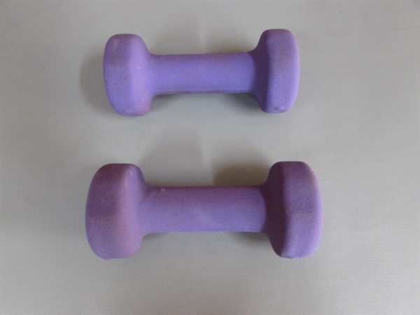 EXERCISE WEIGHTS