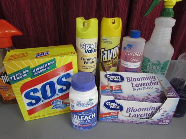 CLEANING SUPPLIES AND MORE