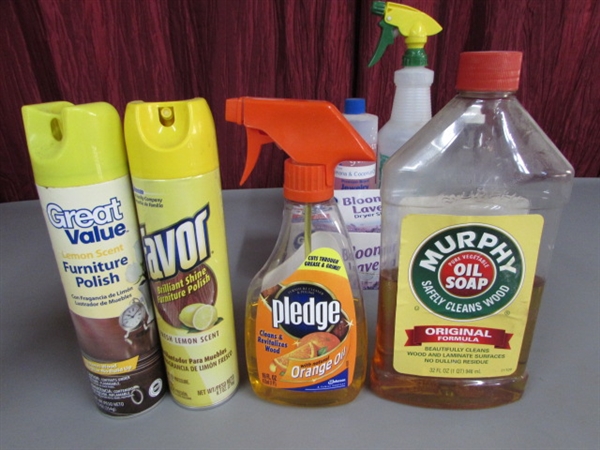 CLEANING SUPPLIES AND MORE