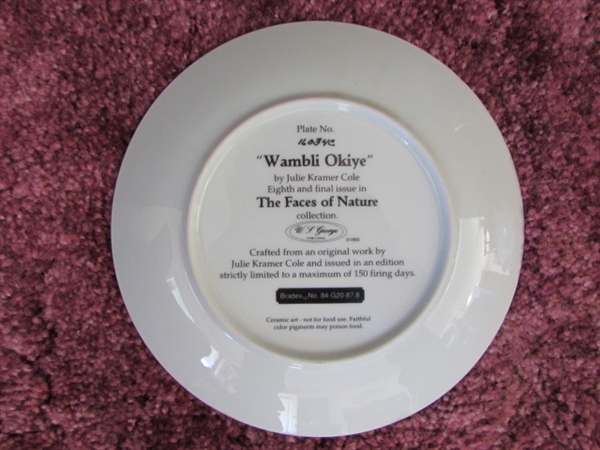 NATIVE AMERICAN COLLECTOR PLATES