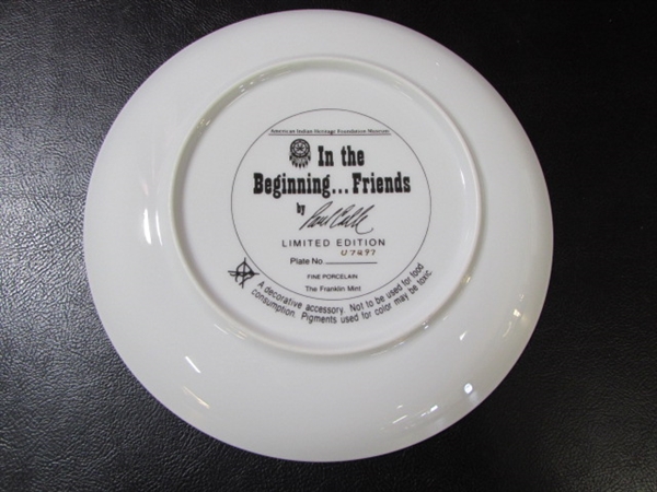 5 NATIVE AMERICAN COLLECTORS PLATES