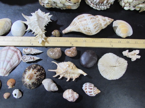 THE ULTIMATE SHELL COLLECTION