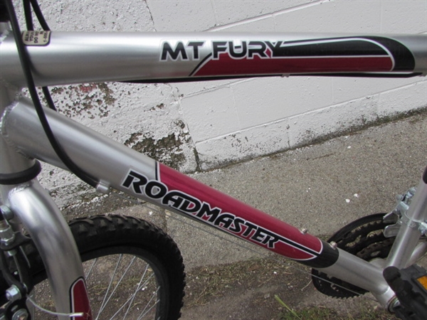 ROADMASTER BIKE