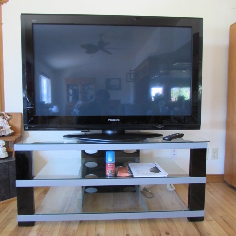 PANASONIC 50 PLASMA TV & STAND