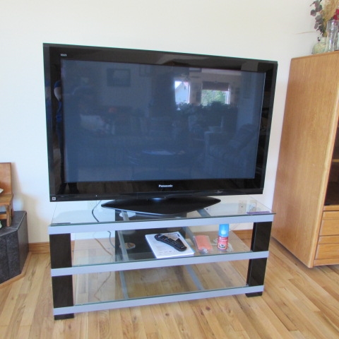 PANASONIC 50 PLASMA TV & STAND