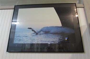 TALBOT PICTURE OF DOLPHINS