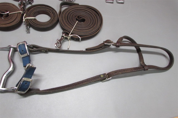BRIDLE SET AND MORE *BENEFITS STABLE HANDS*