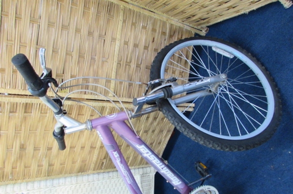 ROADMASTER 18 SPEED BIKE