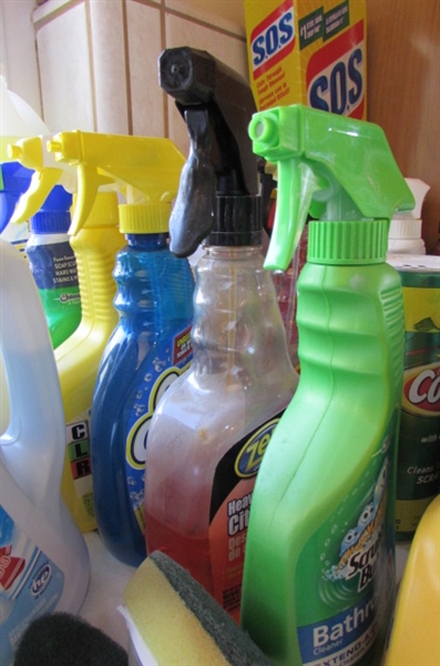 HOUSEHOLD CLEANING LOT