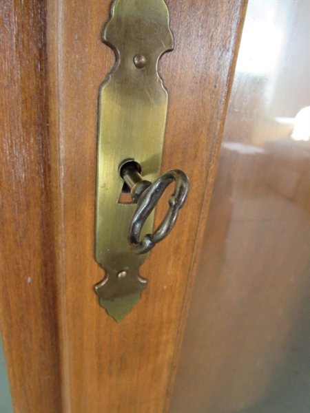 LOCKING GUN CABINET