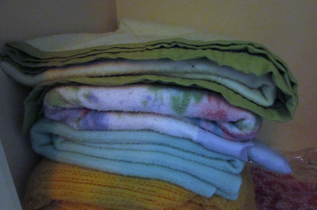 Lot Detail - BLANKETS & THROWS